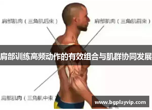 肩部训练高频动作的有效组合与肌群协同发展